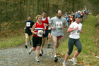 Hamsterley Forest Run